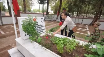 Hollandalı Genç Kadının Ölümsüz Aşkı