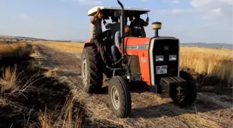 Kopan Elektrik Teli, 25 Dönüm Buğday Tarlasını Yaktı