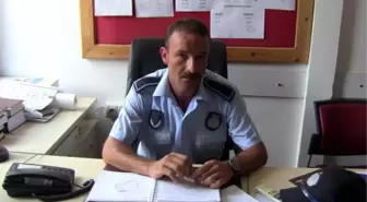 Niko, Gökçeada'ya Zabıta Oldu