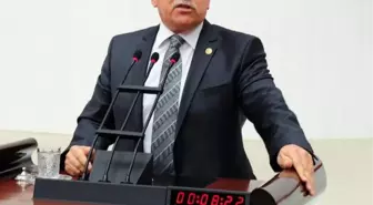 CHP'li Özgümüş, Saç Rengi Kurbanı Pelin İçin Soru Önergesi Verdi