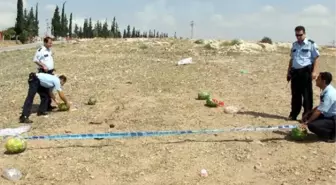 Adana'da Romanların Kadın Kavgası Kanlı Bitti