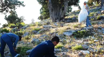 Pek Çok Hastalığa İyi Gelen Kekik En İyi Akseki'de Yetişiyor