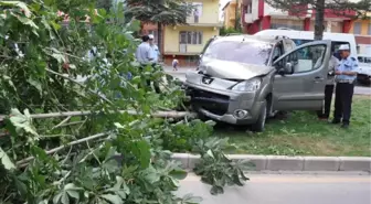 Önce Kamyonete, Sonra Şoförüne Çarpıp Ağacı Devirdi: 2 Yaralı