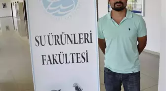 Alabalıkların Daha Hızlı Büyümesini Sağlayan Yem