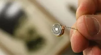 Böcek Şüphelisi Firar Etti