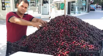 Babasının İşini Devraldı