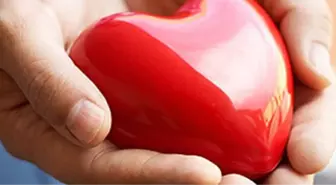 Camide Organ Bağışı Kampanyası