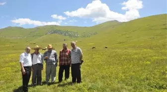 Mesoraş Yaylası'nda 10 Bin Kişi Bayramlaşacak