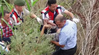 Kaza Yapan Sürücü, Arkadaşlarını Ölüme Terk Edip Hastaneye Gitti