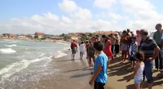 Denizde Kaybolan İki Kardeşten Birinin Cesedine Ulaşıldı