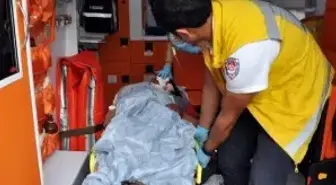 Adıyaman'da Otomobil Devrildi: 6 Yaralı