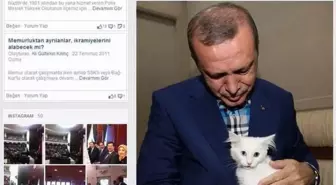 Kedi' ve 'Trafo' Tartışmaları Yine Alevlendi