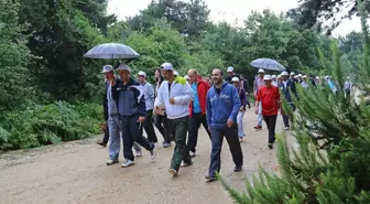 2014 Sağlıklı Yaşam ve Hareket Yılı