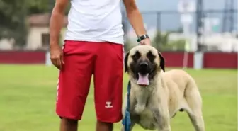 Can Dostlardan Soma'ya Yardım Eli