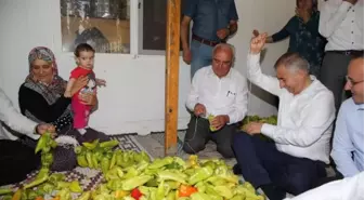 İpe Biber Dizip, Erdoğan'a Destek İstediler