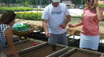 Keşan Belediyesi Keşan'ın Kış Çiçeklerini Hazırlanıyor