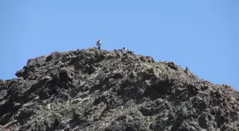 Şiran Tomara Şelalesi Kültür ve Turizm Festivali