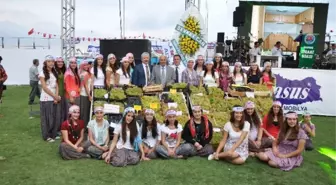 Tarsus 33. Üzüm ve Kültür Festivali