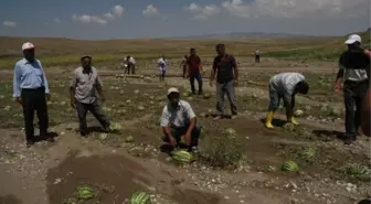 Yozgat'ta 3 Bin Dekar Arazi Doludan Zarar Gördü