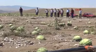 Yozgat'ta Dolu ve Yağmur Üreticiyi Vurdu