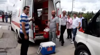 Samsun'da Organlarıyla 5 Kişiye Umut Oldu