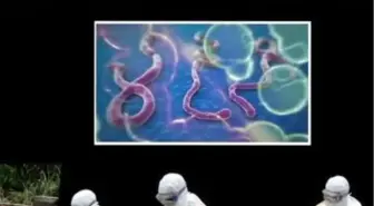 Sağlık Bakanlığından 'Ebola' Broşürü