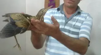 Tekstilkent'in Maskotu Olmuştu