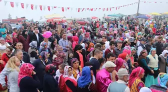 Kamena Yayla Şenliği Yapıldı