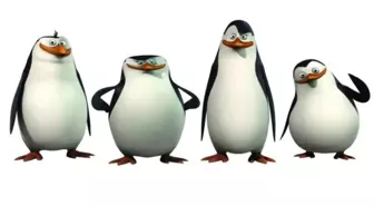 Madagaskar Penguenleri Filminden Fragman!