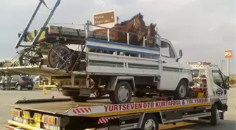 Sandıklı'da Kamyonet Kaza Yaptı, Kasasındaki Atlarla Çekiciye Yüklendi