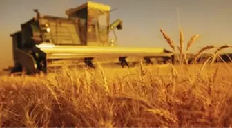 Çiftçiye Çatak Desteği