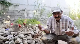 Oğlu İçin Şehit Mezarı Yaptırdı