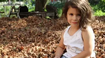 Samsunlular Fındık Toplamaya Başladı