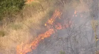 Bozüyük'te Arazi Yangını