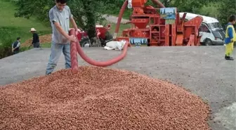 Giresun'da Patoz Yasağı