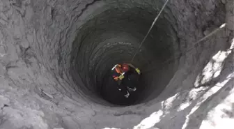 Kuyuya Düşen Kediyi Afad Kurtardı