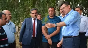 Orman Genel Müdürlüğü Müdür Yardımcısı Yunus Şeker Erzurum'da