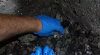 Güven Partisi'ne Kumar Operasyonu