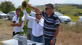 Havza'da Tarla Günü