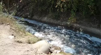 Kollektör Hatlarına Sıkı Denetim