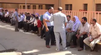 Minik Mesut'un Organları 3 Kişiye Umut Oldu