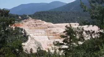 Taş Ocaklarının Kansere Neden Olduğu İddiası