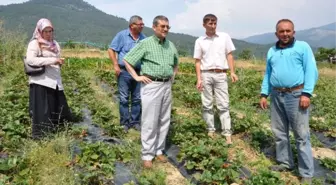 Kırsaldaki Kadın Çiftçiler Eğitimle Daha da Güçlendirilecek