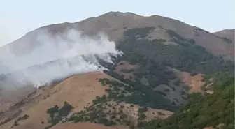 Tunceli'de Orman Yangını