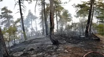 Tunceli'deki Yangın Kontrol Altına Alındı, Soğutma Sürüyor