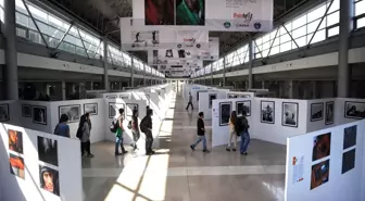 Fotofest 2014'te Dopdolu