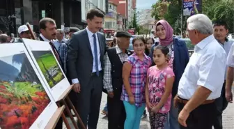 70 Karede Kütahya Neden Yok?...