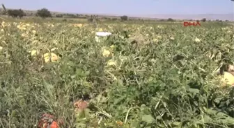 Nevşehir'de Ekili Tarlaları Sel ve Dolu Vurdu