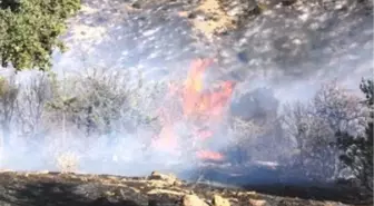 Sarıkamış'ta Orman Yangını