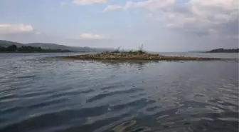 Su Çekilmesiyle Meydana Çıkan Tarihi Ada, Definecilerin Hedefi Oldu